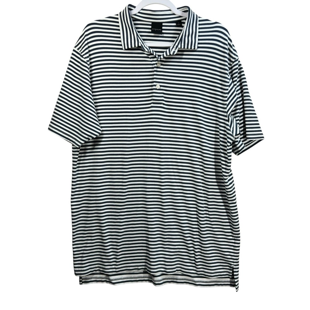 Dunning Golf Polo Shirt Men's L Blue‎ Striped Performance Preppy